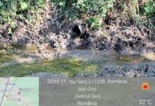 Gorj: Abator amendat cu 40.000 lei pentru poluarea apelor – control Apele Române Jiu Abator amendat cu 40.000 lei pentru poluarea apelor