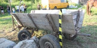 Concurs ilegal de tracțiune cu cabaline,