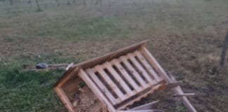 Val de vandalism în Tg-Jiu: Cișmele distruse, parcuri devastate, iar cetățenii plătesc prețul!