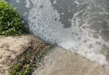 Apele Jilțului, transformate în canal! – Garda de Mediu sancționează drastic o firmă din Gorj Garda de Mediu sancționează drastic o firmă din Gorj