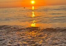 pa mării a scăzut brusc la 10°C în zona Constanța - Eforie din cauza fenomenului de upwelling