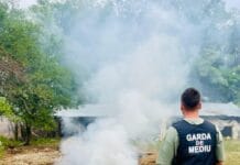 Arderea lânii de oi, sancționată în Gorj: amenzi de 10.000 lei aplicate de Garda de Mediu Arderea lânii de oi, sancționată în Gorj: amenzi de 10.000 lei aplicate de Garda de Mediu