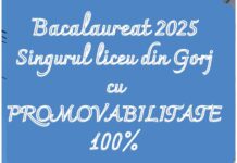 Colegiul Național „Ecaterina Teodoroiu” Târgu Jiu – singurul liceu din Gorj cu promovare 100% la Bacalaureat 2025 Colegiul Național „Ecaterina Teodoroiu” Târgu Jiu – singurul liceu din Gorj cu promovare 100% la Bacalaureat 2025