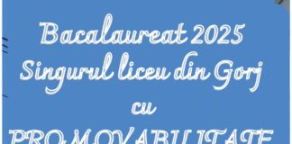 Colegiul Național „Ecaterina Teodoroiu” Târgu Jiu – singurul liceu din Gorj cu promovare 100% la Bacalaureat 2025