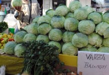 teste Revolta producătorilor de varză din Bălești: „Primarul a dat locurile bune samsarilor!”