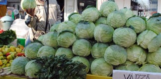 Revolta producătorilor de varză din Bălești: „Primarul a dat locurile bune samsarilor!” Revolta producătorilor de varză din Bălești: „Primarul a dat locurile bune samsarilor!”