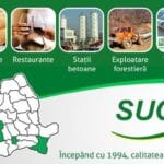 Nicu Sarcina, Succes