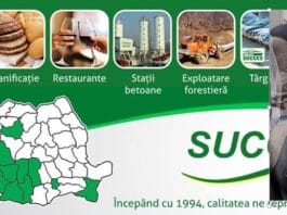 Nicu Sarcina, Succes