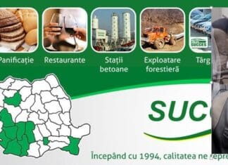 Nicu Sarcina, Succes