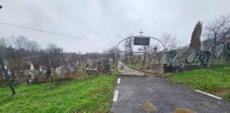 Brad dispărut din cimitir