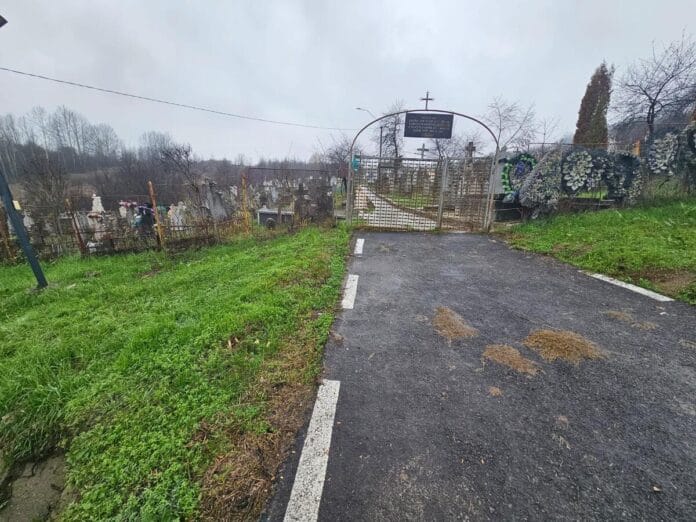 cinitir rosiuta Brad dispărut din cimitir