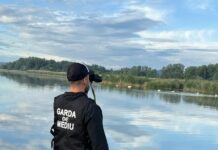 Garda de Mediu Gorj, bilanț record în 2025: aproape 1.000 de controale și amenzi de peste 3,3 milioane de lei pentru infracțiuni de mediu