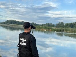 Garda de Mediu Gorj, bilanț record în 2025: aproape 1.000 de controale și amenzi de peste 3,3 milioane de lei pentru infracțiuni de mediu