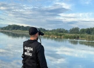 Garda de Mediu Gorj, bilanț record în 2025: aproape 1.000 de controale și amenzi de peste 3,3 milioane de lei pentru infracțiuni de mediu