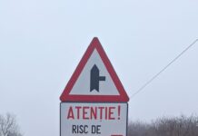 Avertizare pentru șoferi în zona de frontieră cu Serbia: risc de roaming involuntar și costuri mari la telefon