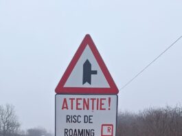 Avertizare pentru șoferi în zona de frontieră cu Serbia: risc de roaming involuntar și costuri mari la telefon