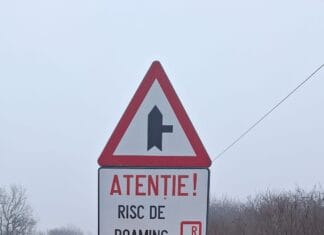 Avertizare pentru șoferi în zona de frontieră cu Serbia: risc de roaming involuntar și costuri mari la telefon