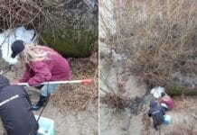 Amendă de 80.000 de lei pentru poluarea râului Amaradia. Apele Române Jiu au descoperit deversări ilegale de ape uzate