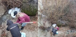 Amendă de 80.000 de lei pentru poluarea râului Amaradia. Apele Române Jiu au descoperit deversări ilegale de ape uzate