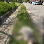 Cruzime șocantă în Gorj: un bărbat a ucis un câine și a mutilat altul după ce animalele au intrat în cotețul cu găini