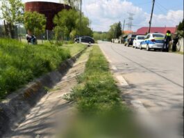 Cruzime șocantă în Gorj: un bărbat a ucis un câine și a mutilat altul după ce animalele au intrat în cotețul cu găini