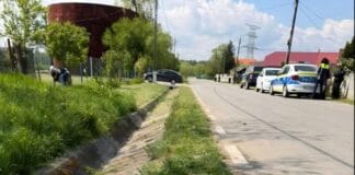 Cruzime șocantă în Gorj: un bărbat a ucis un câine și a mutilat altul după ce animalele au intrat în cotețul cu găini