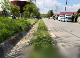 Cruzime șocantă în Gorj: un bărbat a ucis un câine și a mutilat altul după ce animalele au intrat în cotețul cu găini