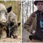 Firma familiei lui Ion Iordache cere despăgubiri de 3,5 milioane lei pentru sacrificarea a 656 de mistreți