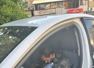 Hoțul somnoros din Târgu Jiu: prins de polițiști dormind în mașina pe care încerca să o jefuiască