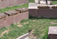 Târgu Jiu: Parcul „Tudor Vladimirescu”, reabilitat pe hârtie, degradat în realitate. Critici dure la adresa administrației locale privind lucrările „de mântuială” ârgu Jiu: Parcul „Tudor Vladimirescu”, reabilitat pe hârtie, degradat în realitate. Critici dure la adresa administrației locale privind lucrările „de mântuială”