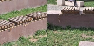 ârgu Jiu: Parcul „Tudor Vladimirescu”, reabilitat pe hârtie, degradat în realitate. Critici dure la adresa administrației locale privind lucrările „de mântuială”