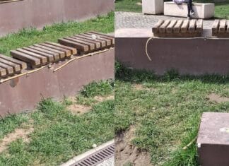 ârgu Jiu: Parcul „Tudor Vladimirescu”, reabilitat pe hârtie, degradat în realitate. Critici dure la adresa administrației locale privind lucrările „de mântuială”