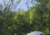 Foto: O femeie a murit, iar alte trei persoane au fost rănite după un impact violent cu un parapet
