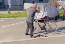 Cruzime șocantă în Rovinari