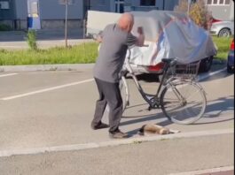 Cruzime șocantă în Rovinari