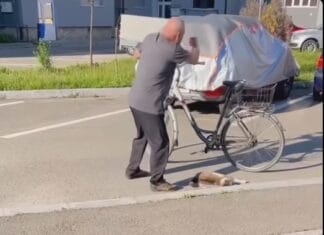 Video: Cruzime șocantă în Rovinari: un bărbat de 63 de ani, reținut după ce ar fi ucis o pisică în parcarea unui bloc Cruzime șocantă în Rovinari