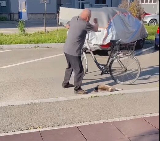 Cruzime șocantă în Rovinari