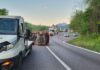 Accident grav pe DN7: Gorjean rănit alături de trei copii după ce s-a răsturnat cu autoutilitara