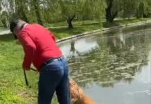 Un bărbat s-a ales cu dosar penal după ce ar fi încercat să-și înece câinele în lac
