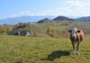 Tot mai mulți români aleg viața la țară. Gorjul, printre județele cu cea mai mare creștere a construcțiilor de locuințe în mediul rural