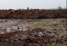 Amendă record de 100.000 de lei în Târgu Jiu. Garda de Mediu Gorj înăsprește controalele
