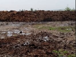 Amendă record de 100.000 de lei în Târgu Jiu. Garda de Mediu Gorj înăsprește controalele