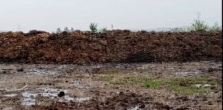 Amendă record de 100.000 de lei în Târgu Jiu. Garda de Mediu Gorj înăsprește controalele