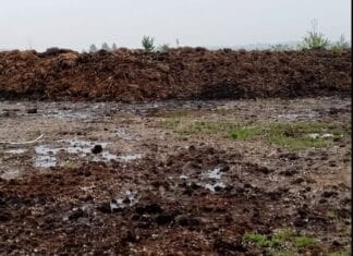 Amendă record de 100.000 de lei în Târgu Jiu. Garda de Mediu Gorj înăsprește controalele