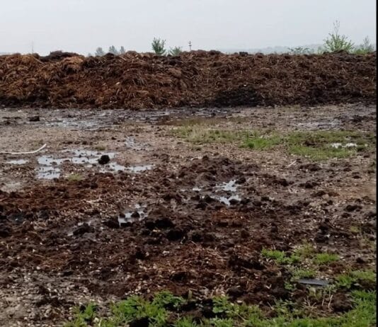 Amendă record de 100.000 de lei în Târgu Jiu. Garda de Mediu Gorj înăsprește controalele împotriva operatorilor care încalcă legea Amendă record de 100.000 de lei în Târgu Jiu. Garda de Mediu Gorj înăsprește controalele