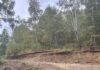 Amendă uriașă pentru lucrări într-o arie naturală protejată din Gorj. Ce au descoperit comisarii Gărzii de Mediu la Crasna