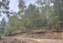 Amendă uriașă pentru lucrări într-o arie naturală protejată din Gorj. Ce au descoperit comisarii Gărzii de Mediu la Crasna