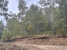 Amendă uriașă pentru lucrări într-o arie naturală protejată din Gorj. Ce au descoperit comisarii Gărzii de Mediu la Crasna