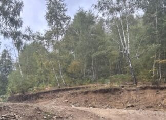 Amendă uriașă pentru lucrări într-o arie naturală protejată din Gorj. Ce au descoperit comisarii Gărzii de Mediu la Crasna