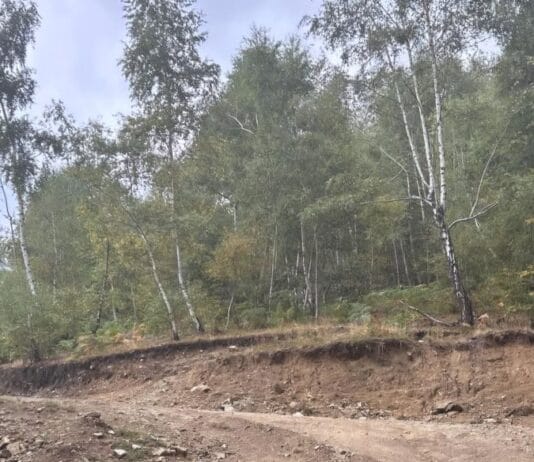 Amendă uriașă pentru lucrări într-o arie naturală protejată din Gorj. Ce au descoperit comisarii Gărzii de Mediu la Crasna